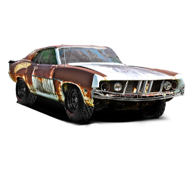 custom-sport